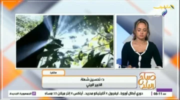 تطور غير متوقع.. انكماش ثقب الأوزون هل هو بشرى أم خطر قادم؟ خبير بيئي يحسم الجدل 1